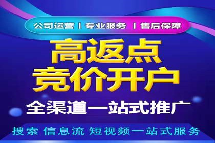 SEM搜索引擎优化：广告创意的策划与执行